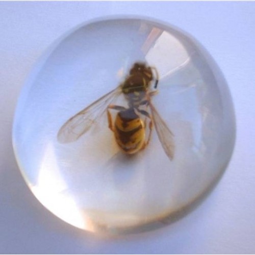 Glass Clear Polyester Casting Resin Glass Clear Polyester Casting Resin